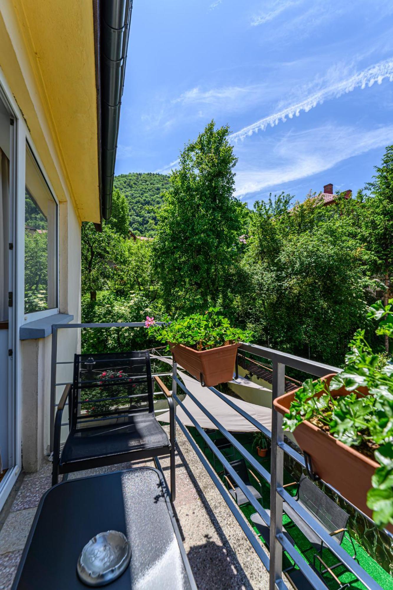 Affittacamere Pensiunea Casa Bono 3*